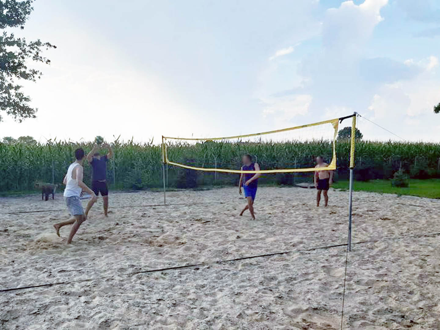 Boisko plażowe w Orenicach